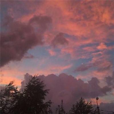 剑雨浮生录最新版下载